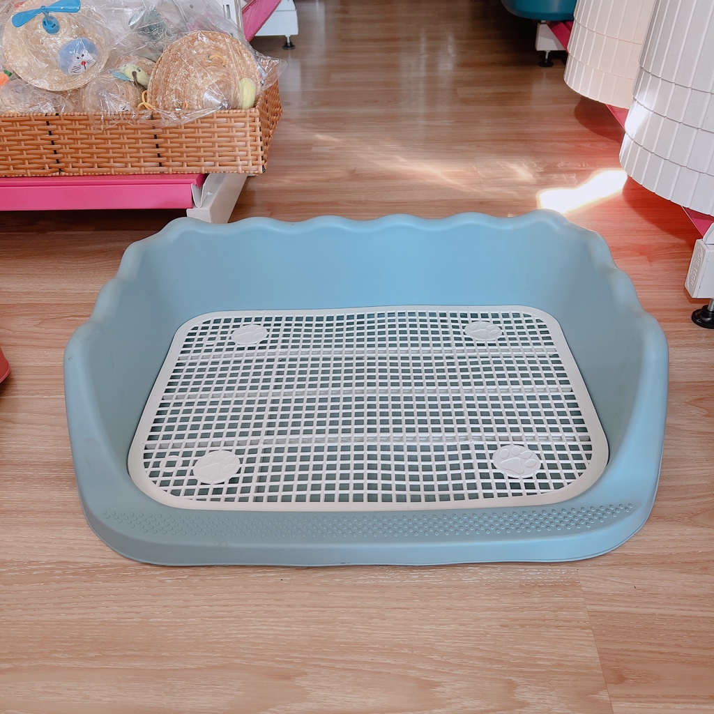 khay vệ sinh cho chó