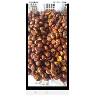 hạt dẻ tươi Sapa