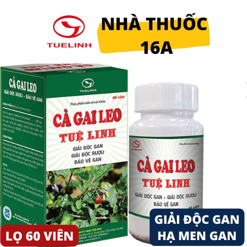 &lt;CHÍNH HÃNG&gt; CÀ GAI LEO TUỆ LINH - LỌ 60 VIÊN - KẾT HỢP GIẢO CỔ LAM HỖ TRỢ HẠ MEN GAN CAO, NGỪA NGUY CƠ XƠ GAN