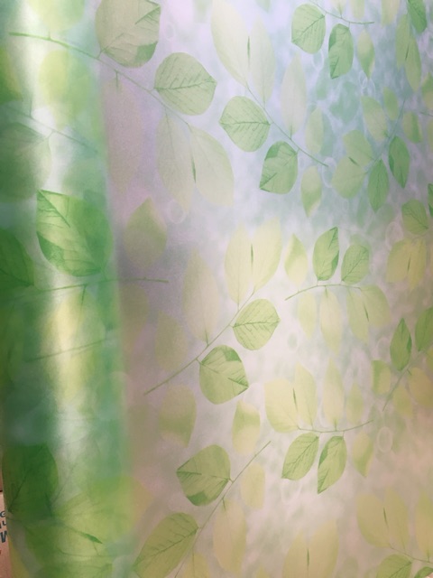 Giấy Dán Kính 3D lá khổ 90 | BigBuy360 - bigbuy360.vn