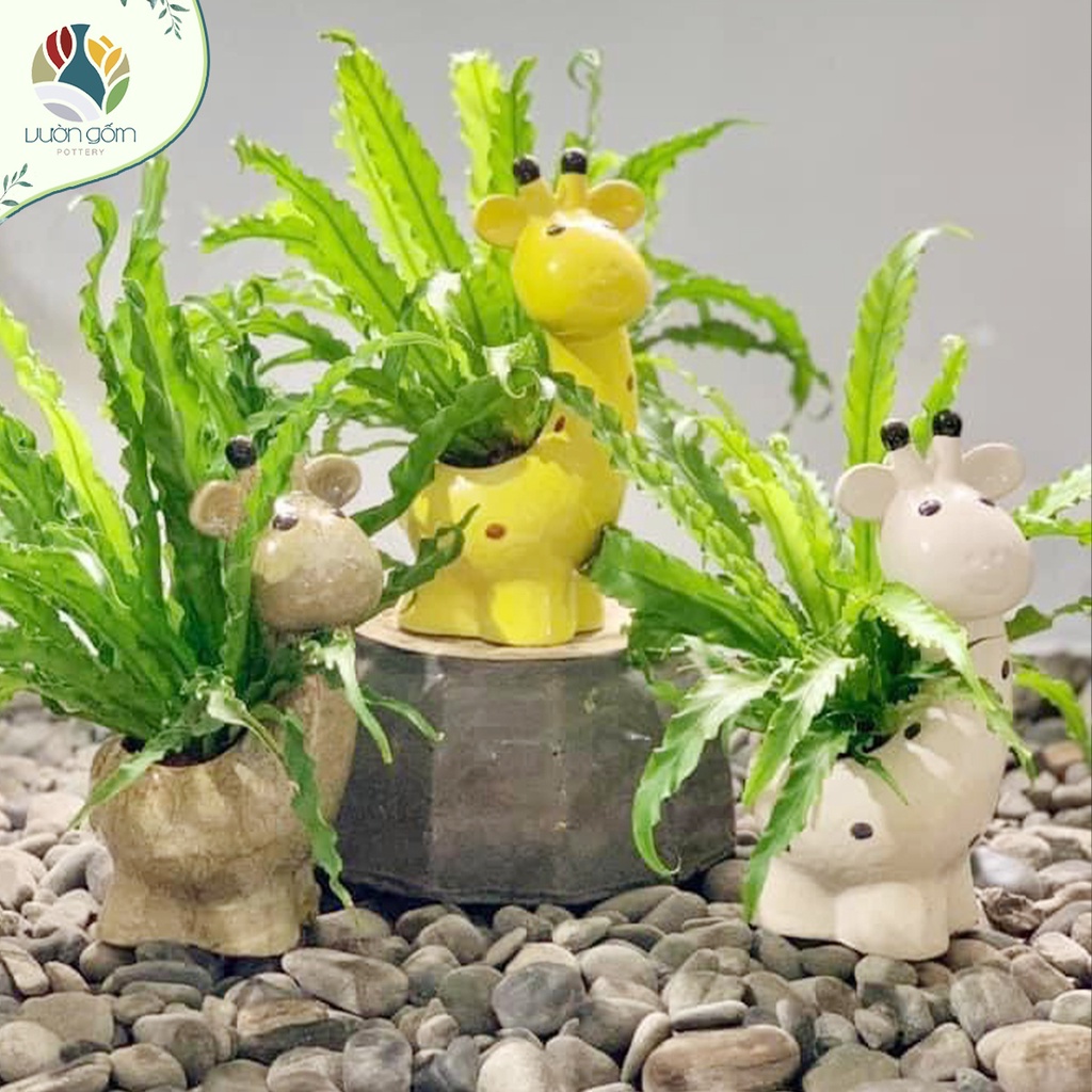 Chậu gốm hươu cao cổ trồng sen đá, cây cảnh size nhỏ decor, trang trí nhà cửa, tiểu cảnh Vườn Gốm - The Garden