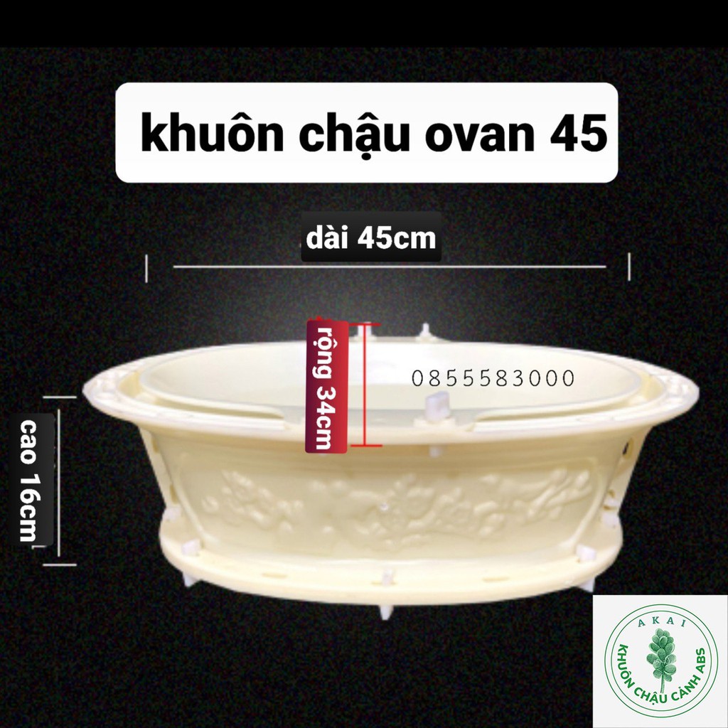 Khuôn đúc chậu bonsai ovan 45