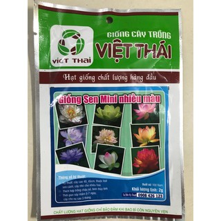 Hạt giống Sen mini nhiều màu 2g