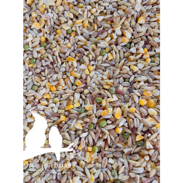 2kg ngũ cốc cơ bản cho gia cầm, cu gáy, bồ câu [thức ăn dinh dưỡng cho gà]