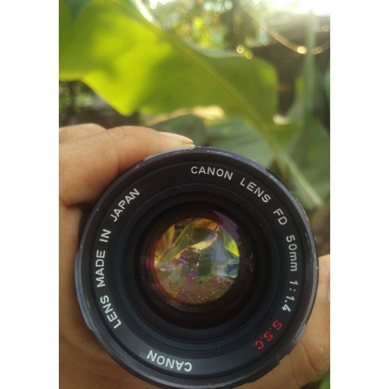 Lens MF Canon 50mm F1.4 chụp chân dung