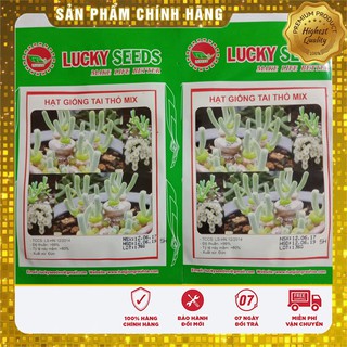 Hạt Giống Cây Tai Thỏ Lucky ( 5 hạt)