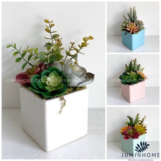 Cây giả Decor - Chậu sen đá vuông Decor trang trí để bàn