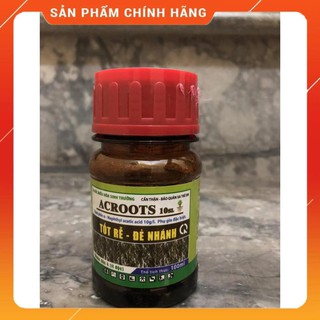 Acroot – siêu kích rễ.