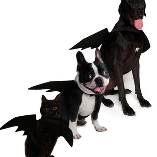 Đồ Hóa Trang Halloween Cho Thú Cưng