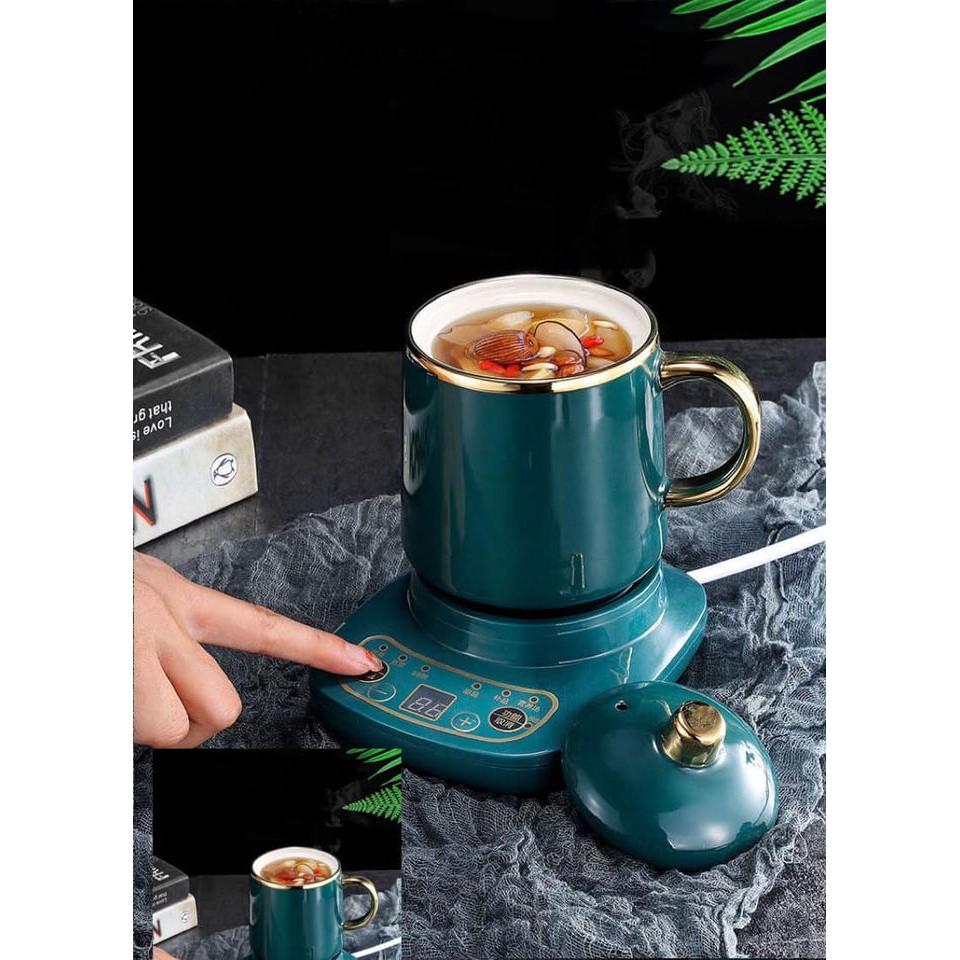Bộ Cốc Chưng Yến, Hầm Nấu, Hâm Nóng Đa Năng Kèm Đế Nấu, Hàng Chuẩn, Có Hàng Giao Ngay Tại Tphcm.