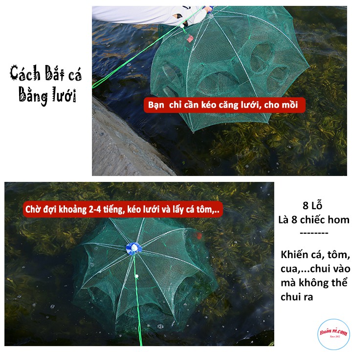 Lưới Bắt Tôm Cá 8 Lỗ Thông Minh - br00537