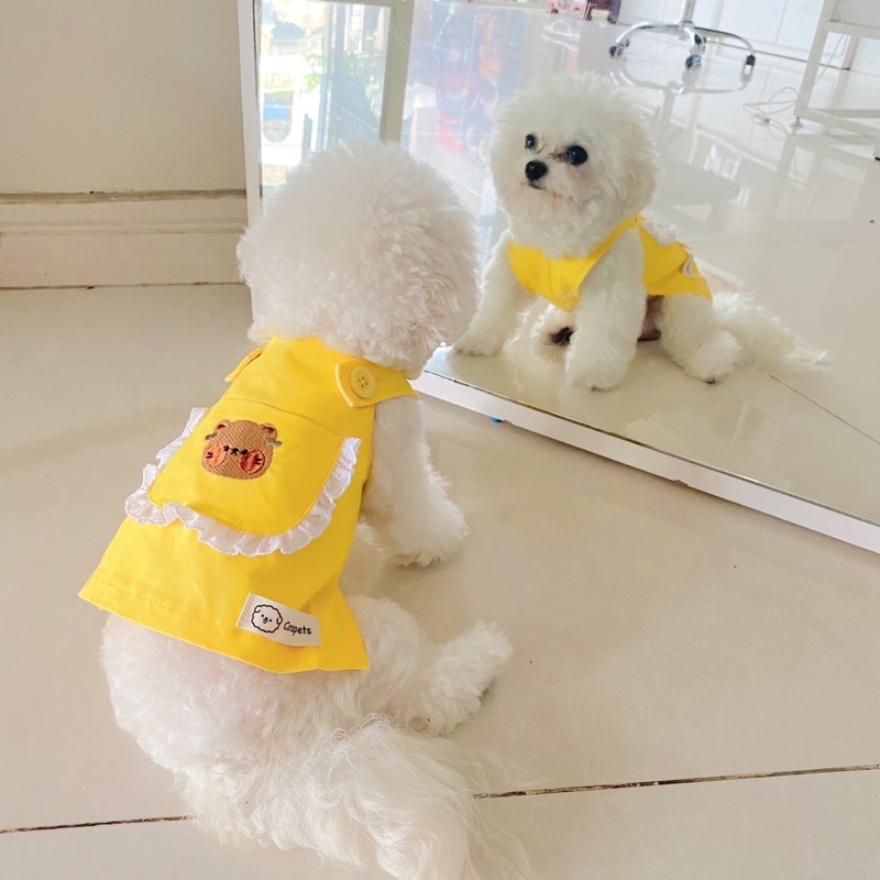 Yếm Gấu cao cấp cho thú cưng