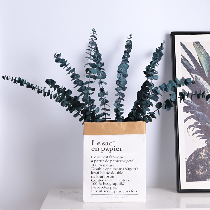 set túi giấy kèm cánh lá cây bạch đàn nhân tạo trang trí phòng phong cách bắc âu