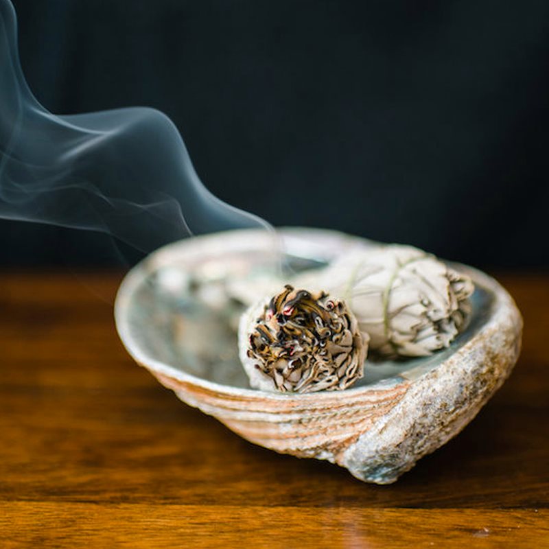 Bó xô thơm xanh chiêu tài lộc Kèm QÙA TẶNG phong thủy