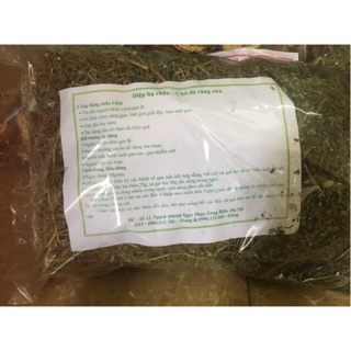 Diệp hạ châu