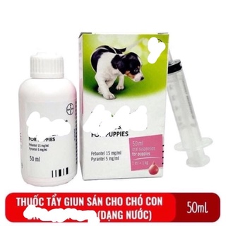 Xổ giun dạng nước cho cún con
