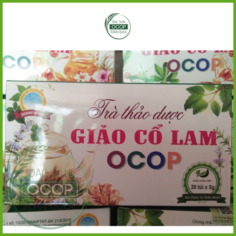 Trà Giảo cổ lam túi lọc | Giảo cổ lam Bắc Kạn | Hộp 100g | Đặc sản OCOP