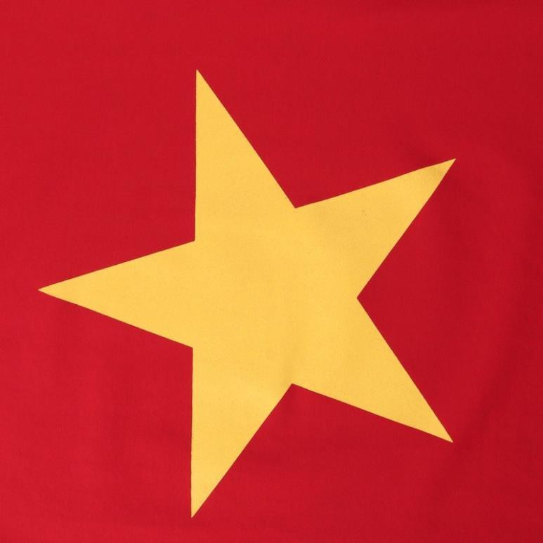 Áo cờ đỏ sao vàng cao cấp loại 1 [ Chất xịn] đủ size từ 8kg  ྇