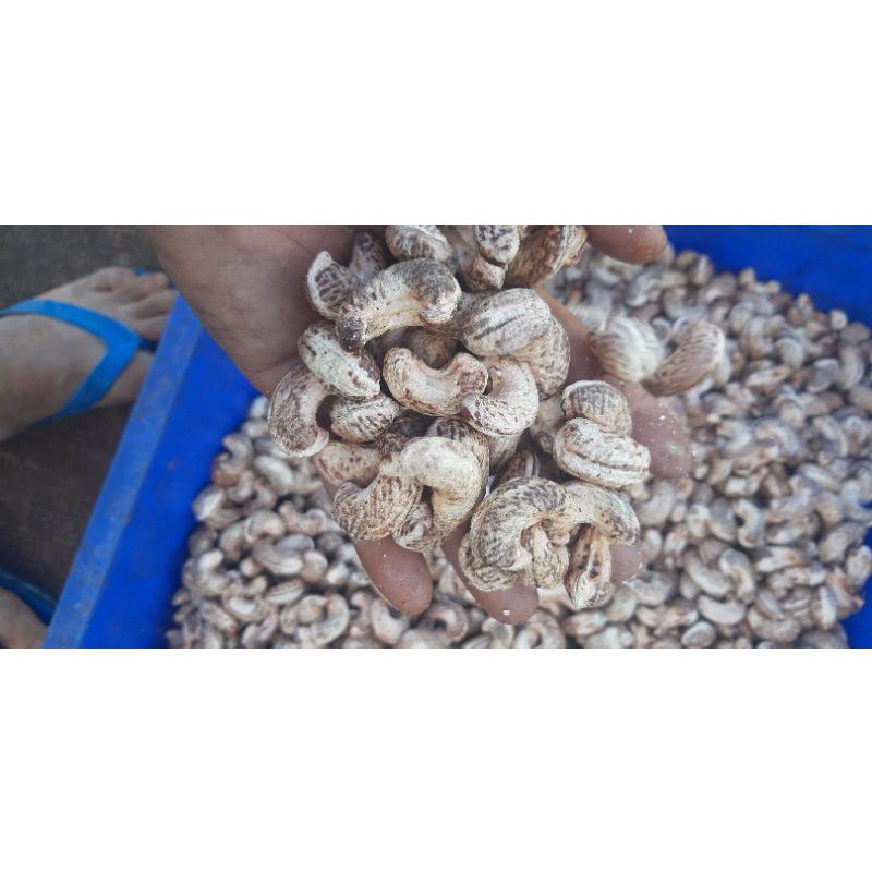 Hạt Điều Rang muối