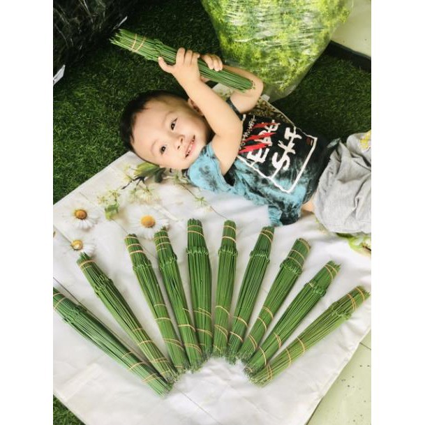 Kẽm Cành Bó 100 Cành Dài 30Cm