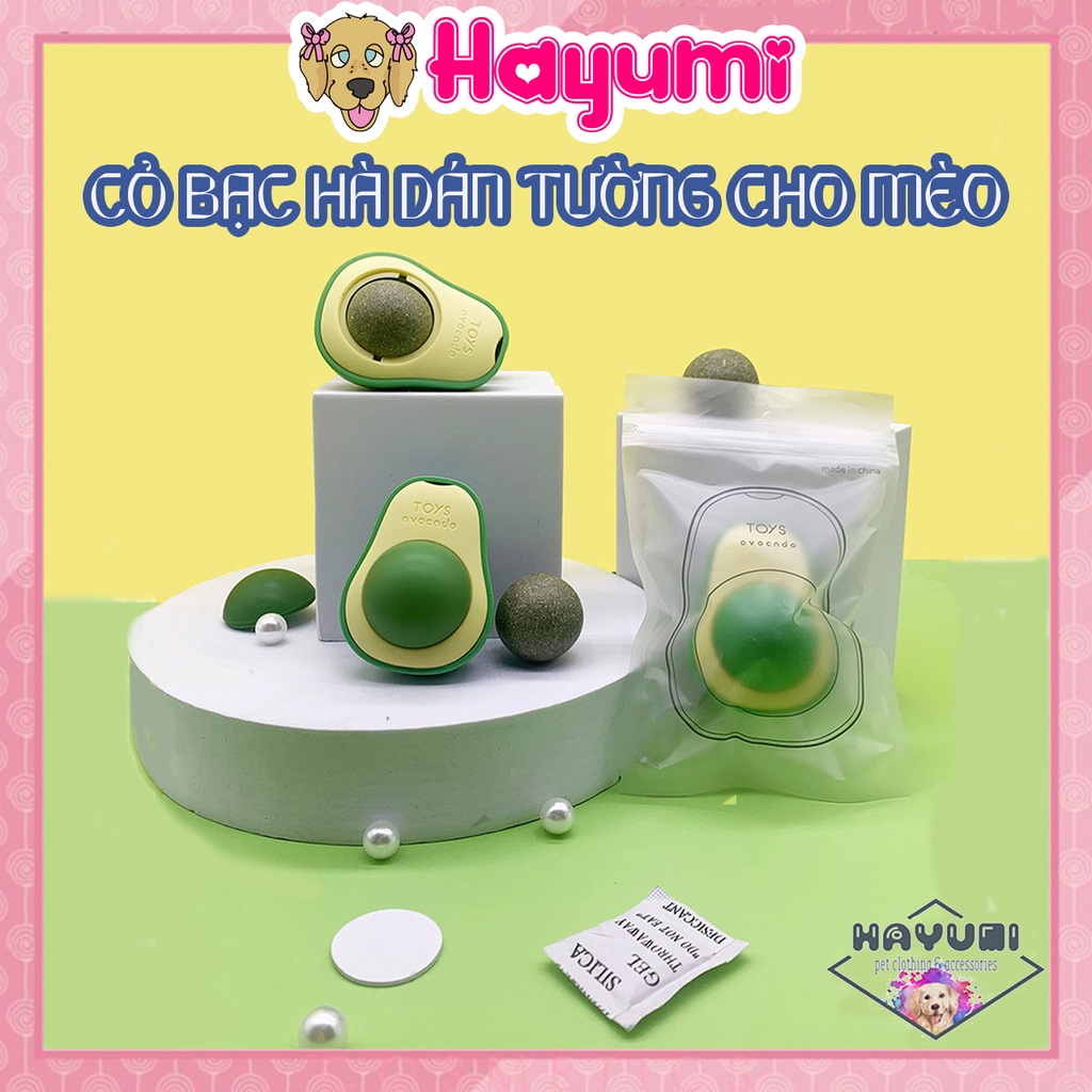 CỎ BẠC HÀ DÁN TƯỜNG HÌNH TRÁI BƠ DÀNH CHO MÈO - HAYUMI