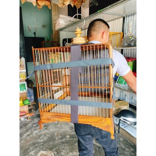 BALO ĐEO LỒNG CHIM MÀO, CHÒE, MI, KHÚU