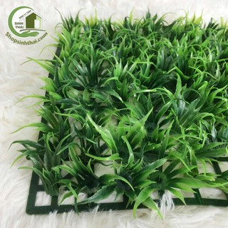 Vỉ cỏ nhựa mini
