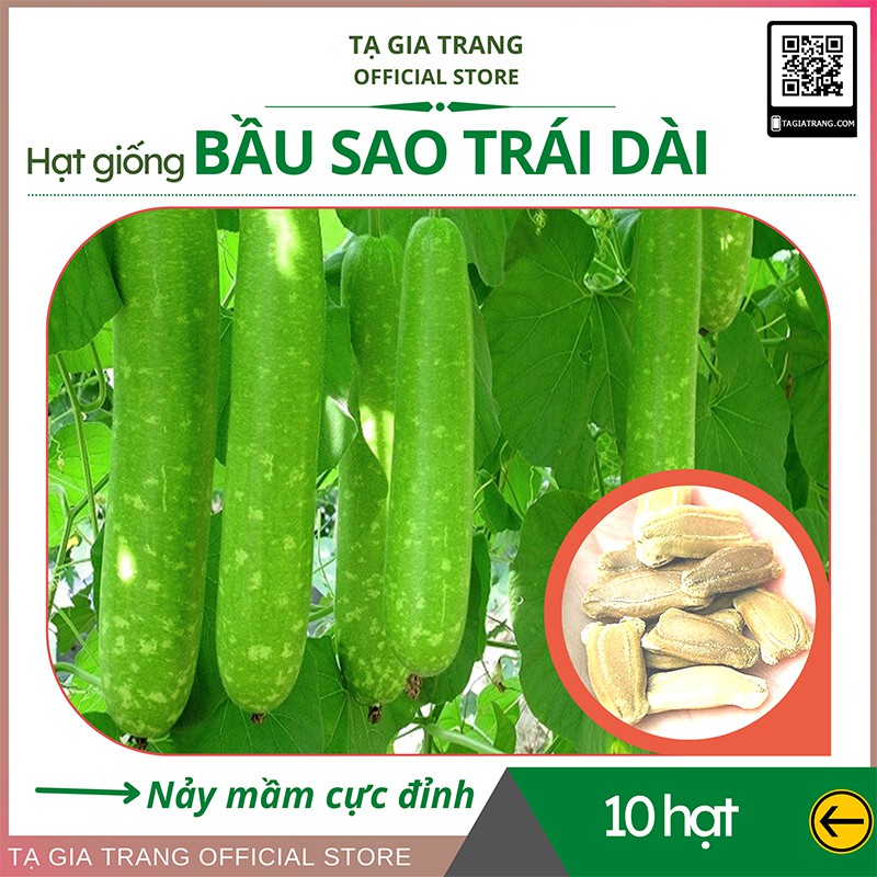 Hạt giống Bầu sao trái dài F1 - Shop hạt giống Tạ Gia Trang