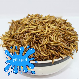 sâu size trung cho hamster nhím sóc 100g