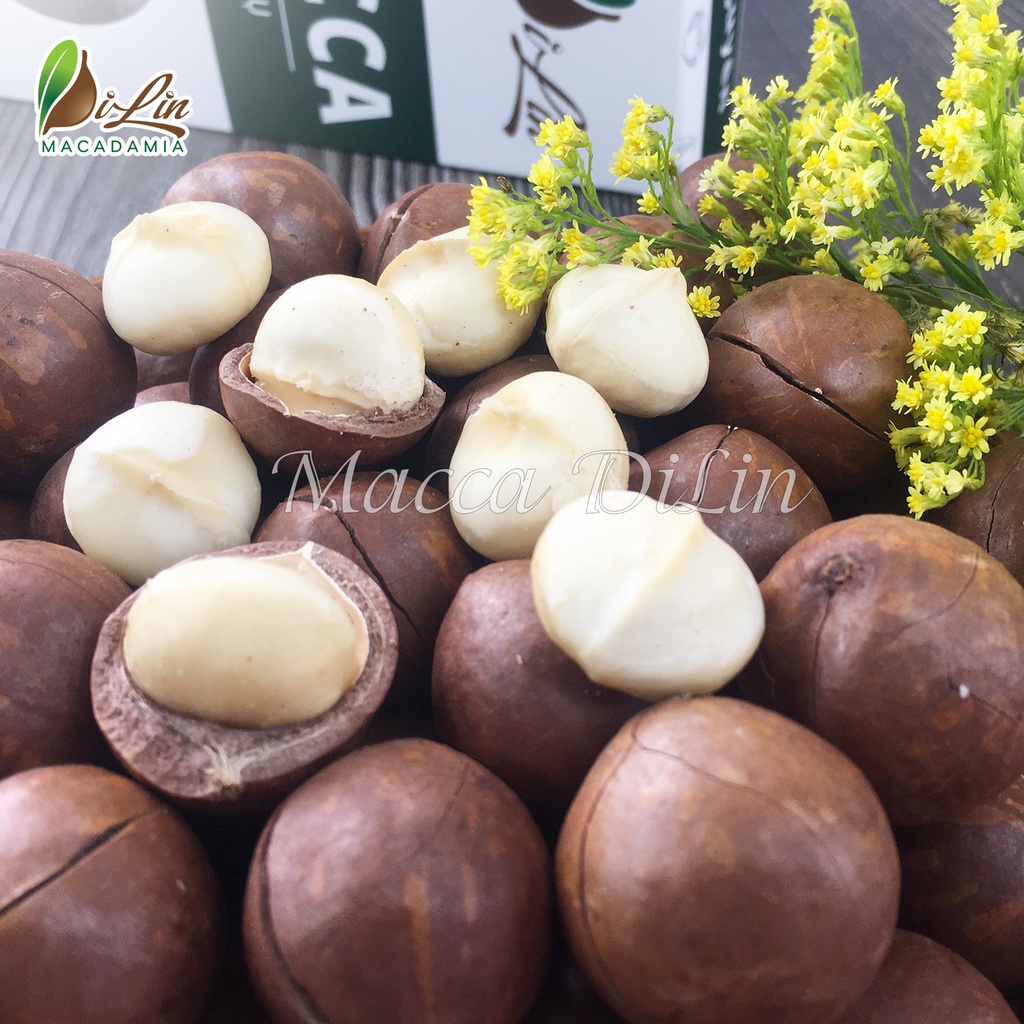 500g Hạt Macca Sạch Di Linh Lâm Đồng Dạng Túi