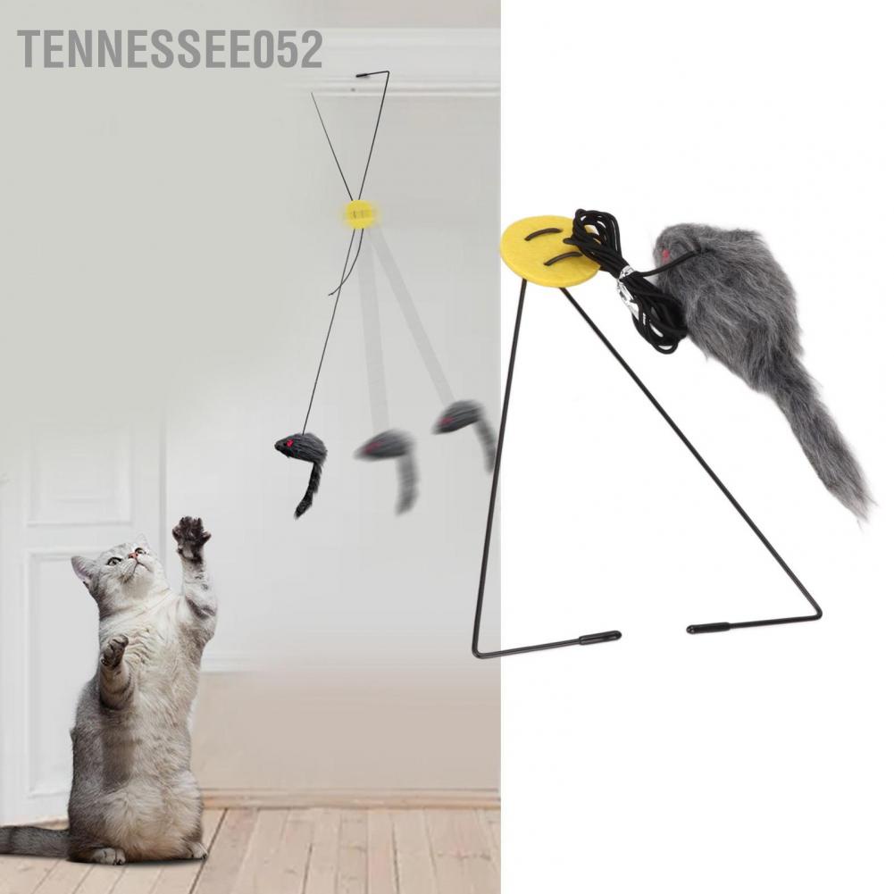 Đồ chơi chuột treo cửa tùy chỉnh có thể thu vào kèm móc hình tam giác cho mèo