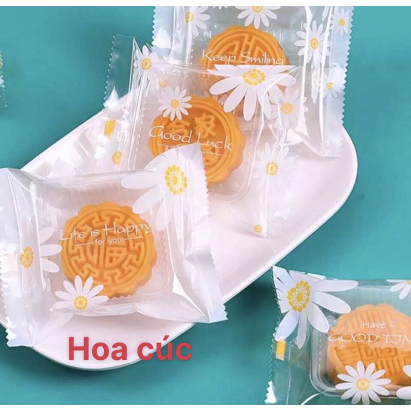 2023 Khay túi bánh trung thu 50gr-80gr-100gr (100 bộ)
