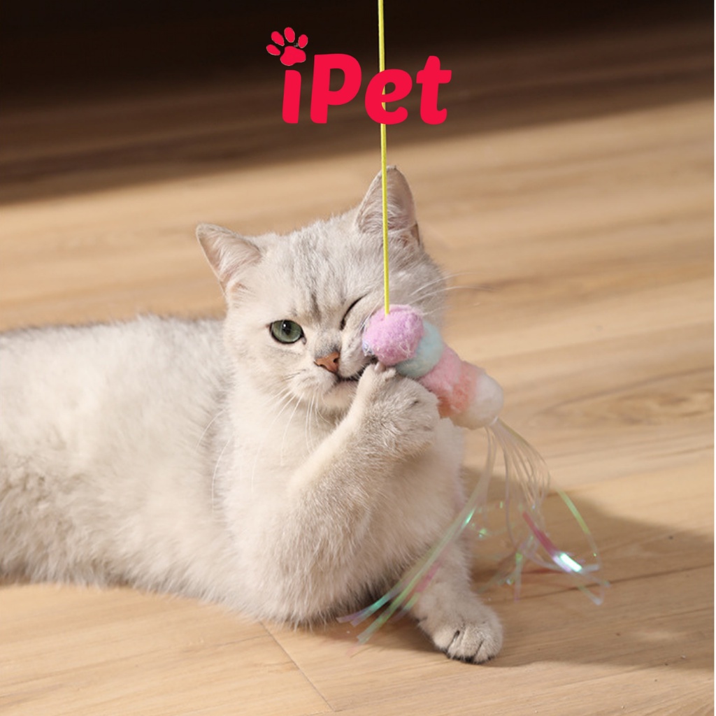 Đồ Chơi Cho Mèo Tự Dính Dán Tường Có Chuông Lục Lạc Cho Mèo Vờn Bắt - iPet Shop