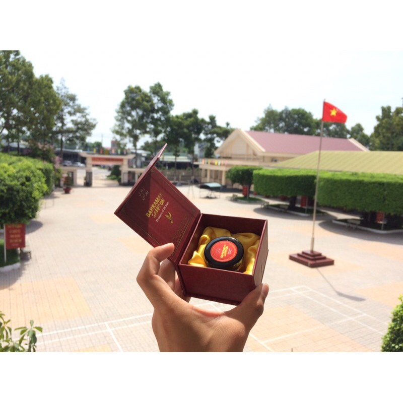 SAFFRON- NHỤY HOA NGHỆ TÂY (LOẠI 1 SUPER NEGIN ) ❤️ | BigBuy360 - bigbuy360.vn