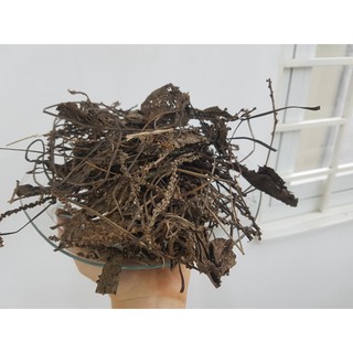 Cây Mã Đề Khô 100Gr - Hàng Công Ty Chất Lượng