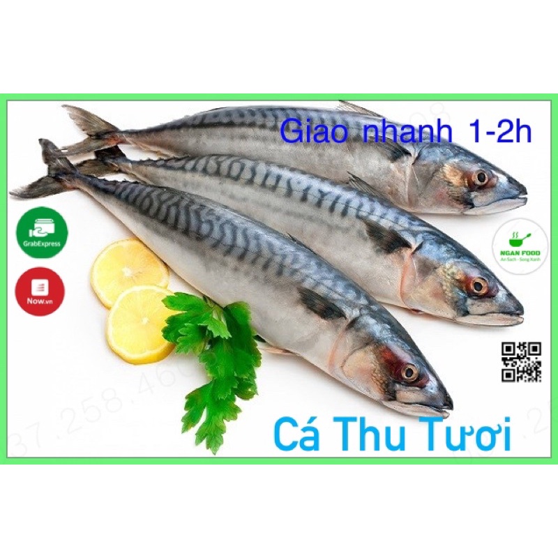 [Mới Về] Cá Thu Tươi Sống Ninh Thuận, Thịt Trắng Đẹp, Cắt Khúc Sẵn, Giao Nhanh Hoả Tốc (HCM)