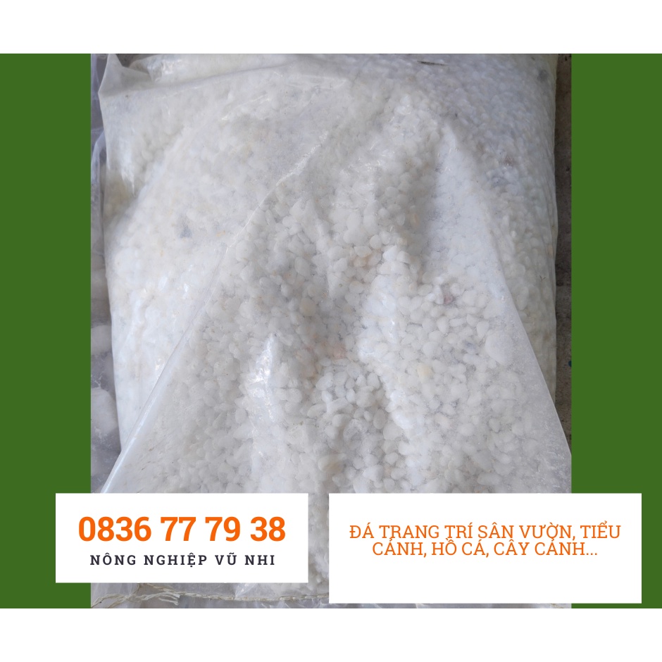 Đá sỏi trắng size nhỏ trang trí sân vườn, chậu cây, hồ cá, tiểu cảnh, cây hoa kiểng 12kg - hatgiong24h