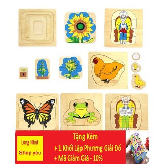 Đồ Chơi An Toàn Cho Trẻ 💖FREESHIP💖 Giảm 20K Khi Nhập [ DOCHOI20k]-Tranh Ghép  Vòng Đời Trưởng Thành - Montessori