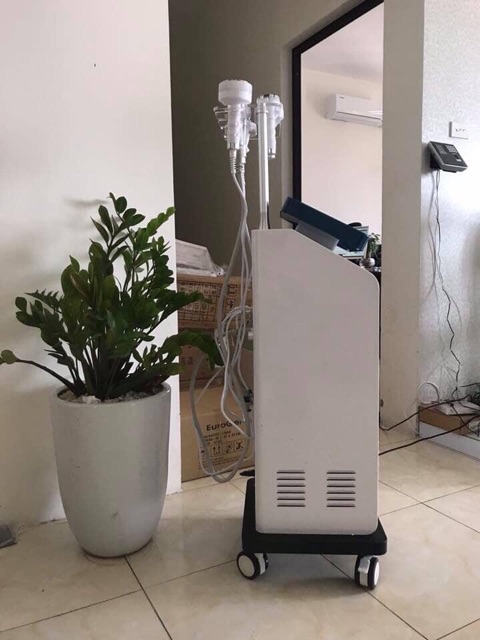 máy giảm báo D5