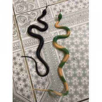 rắn giả dài 50cm mah