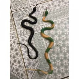 rắn giả dài 50cm