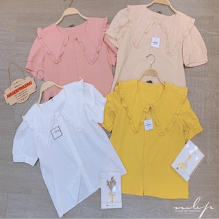 Sơ mi đũi tay cộc cổ bèo nhọn