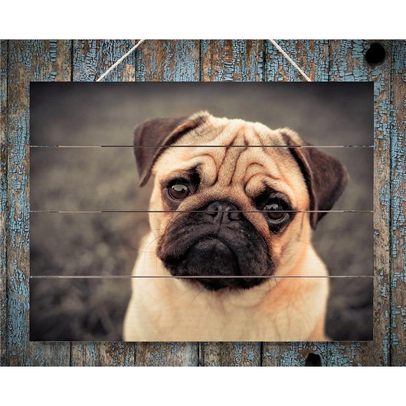 Quà kỷ niệm || Tranh gỗ kỷ niệm ảnh thú cưng, kích thước 30x40 cm hoặc 20x 30 cm