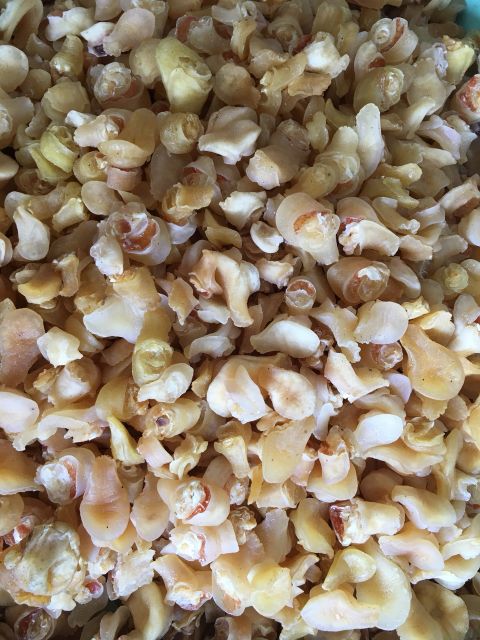 Bào ngư khô100g | BigBuy360 - bigbuy360.vn