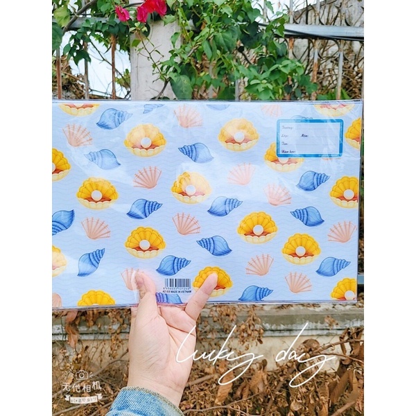 Xấp 10 tờ giấy bao tập kèm giấy kiếng có keo, giấy nhãn, bao vừa cuốn tập 15cmx20cm không gấp. quatangsuutam.vn