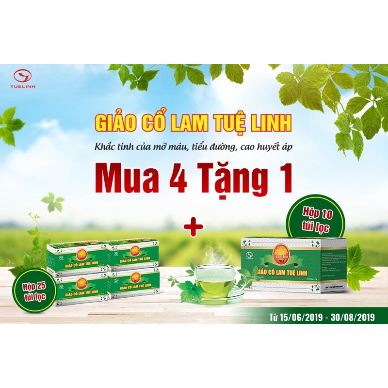 ✅[Chính hãng] Trà Giảo Cổ Lam Tuệ Linh hỗ trợ giảm mỡ máu, đường huyết và giảm nguy cơ xơ vữa động mạch (Hộp 25 gói)