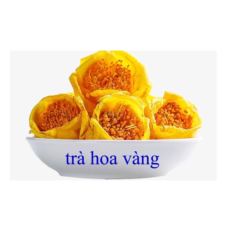 Cây trà hoa vàng ( cây dược liệu) cao 20cm gieo hạt (ảnh thật hình cuối)