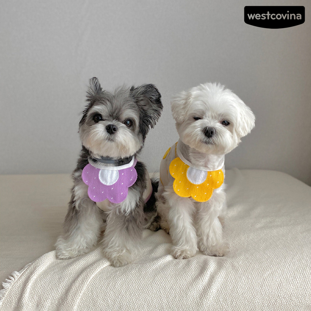 Vòng cổ kèm yếm ăn dệt kim hình bông hoa đáng yêu cho cún cưng