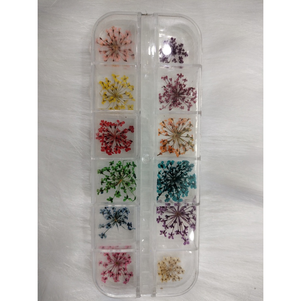 Đá đính móng 12 ô lấp lánh