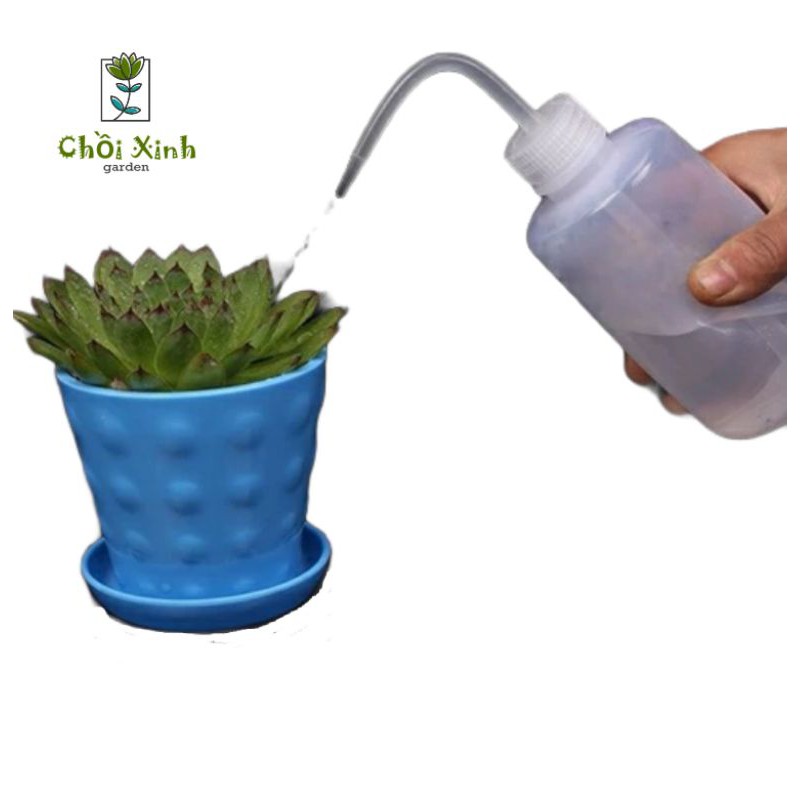 Bình tưới nước sen đá, xương rồng, tiểu cảnh vòi cong dung tích 250ml/500ml/1000ml